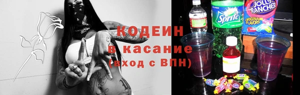 индика Богородск