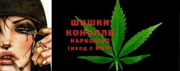 индика Богородск