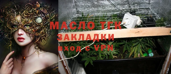 индика Богородск