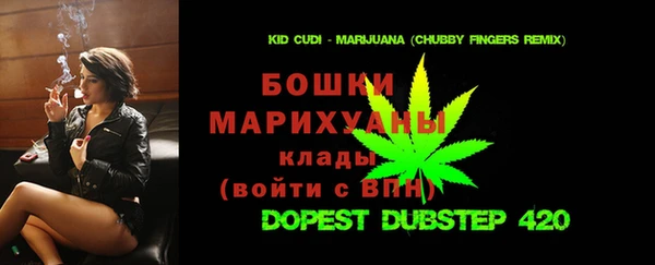 индика Богородск