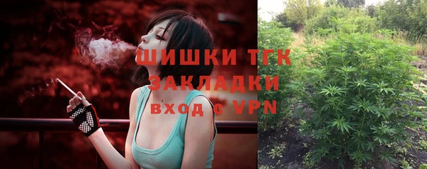 индика Богородск
