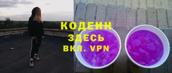 индика Богородск