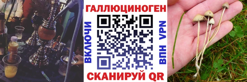 кракен tor  Маркс  Псилоцибиновые грибы GOLDEN TEACHER  купить наркоту 